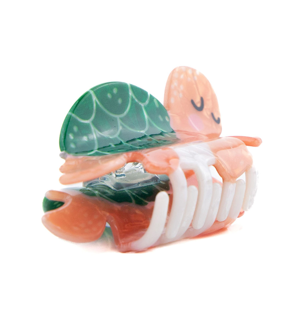 Pinces Animaux de la mer