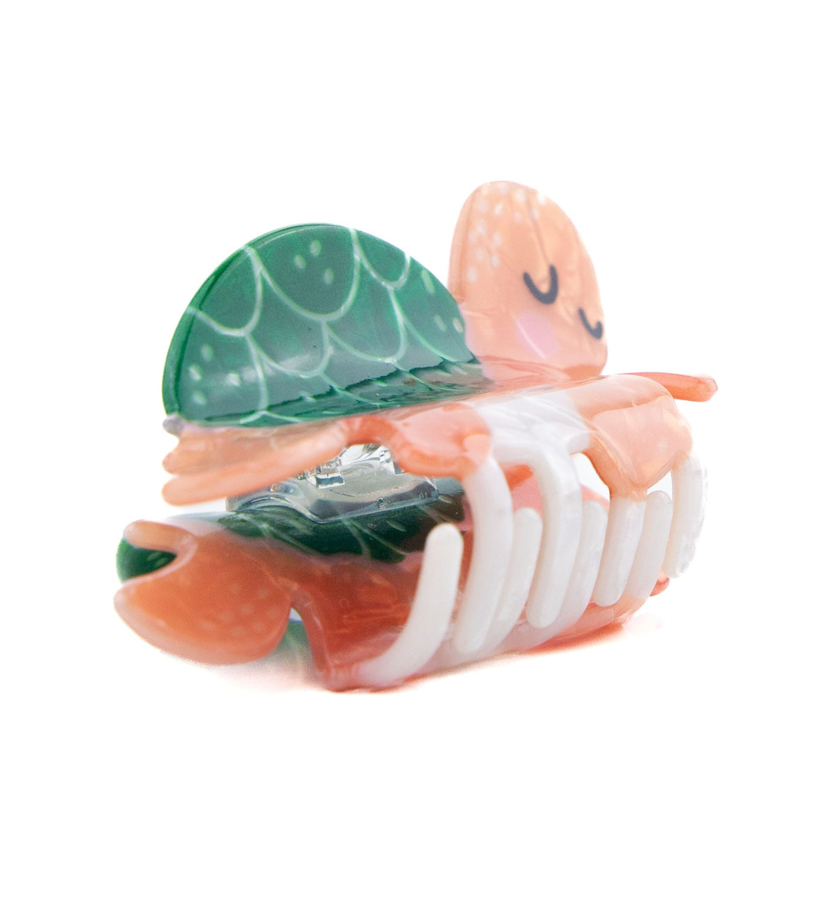 Pinces Animaux de la mer