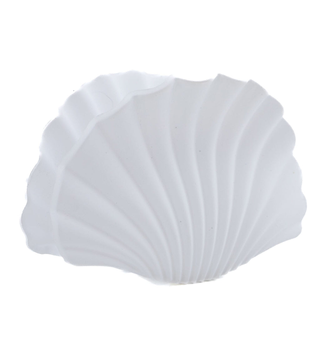 Pinces coquillage colorées