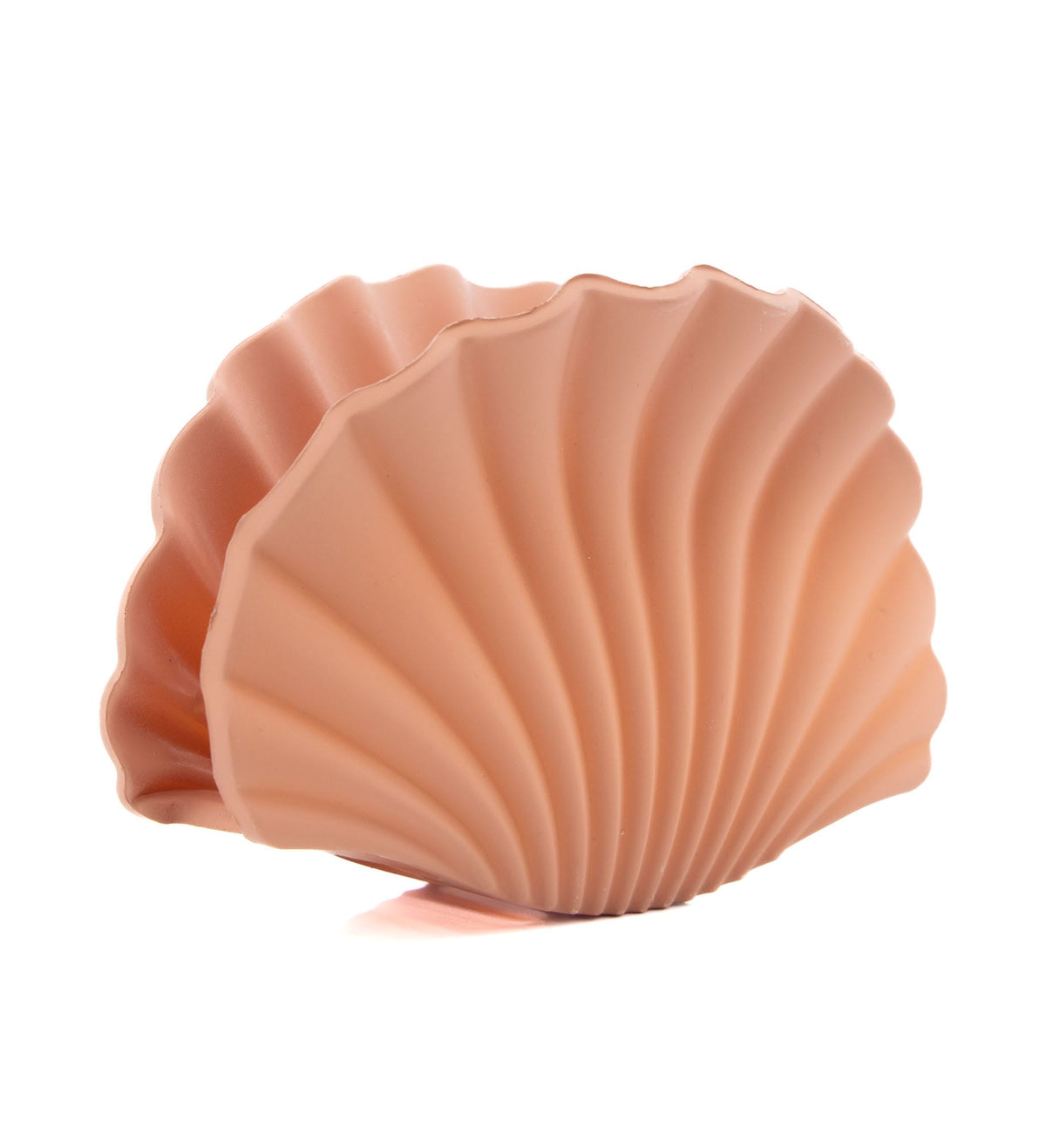 Pinces coquillage colorées