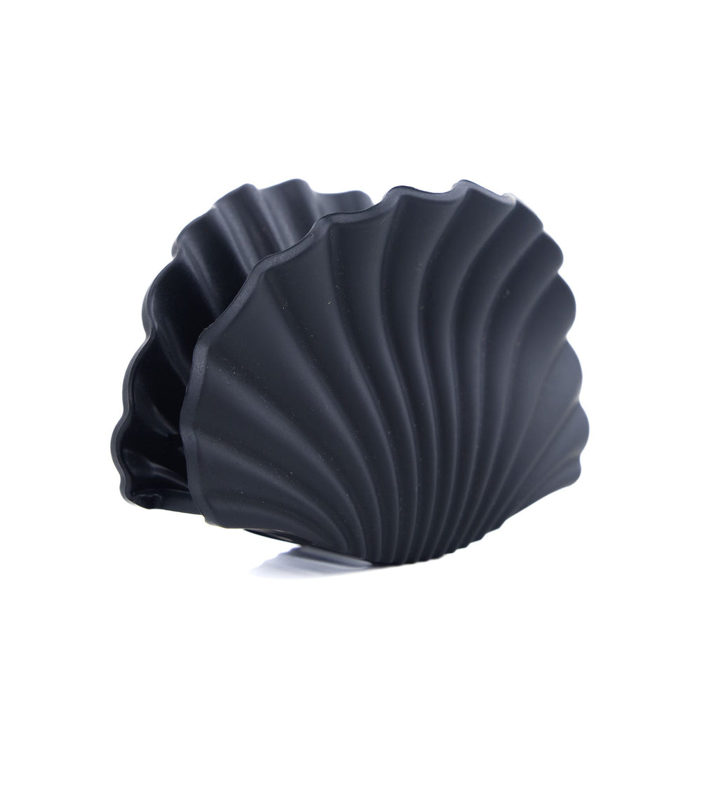 Pinces coquillage colorées