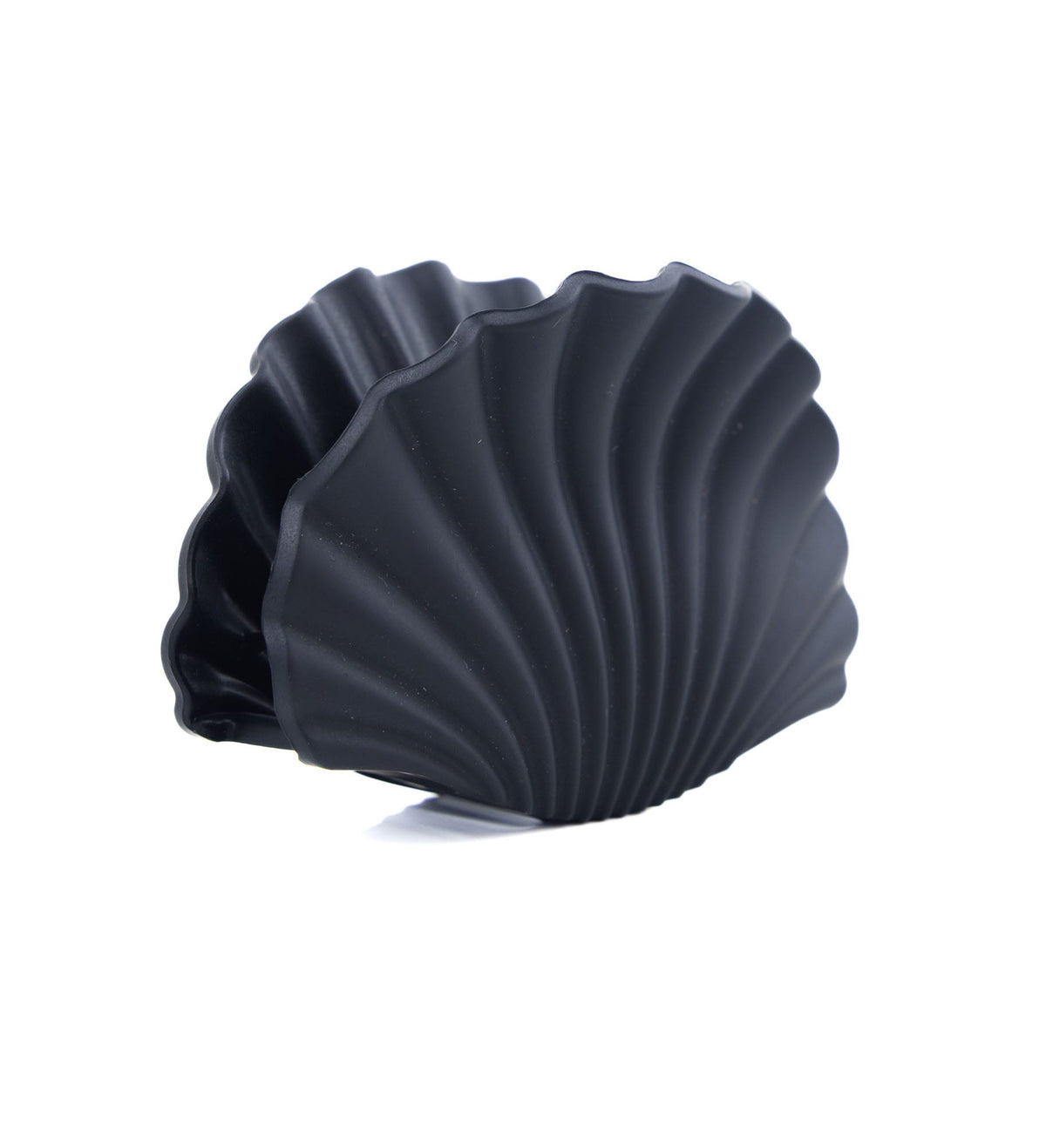 Pinces coquillage colorées