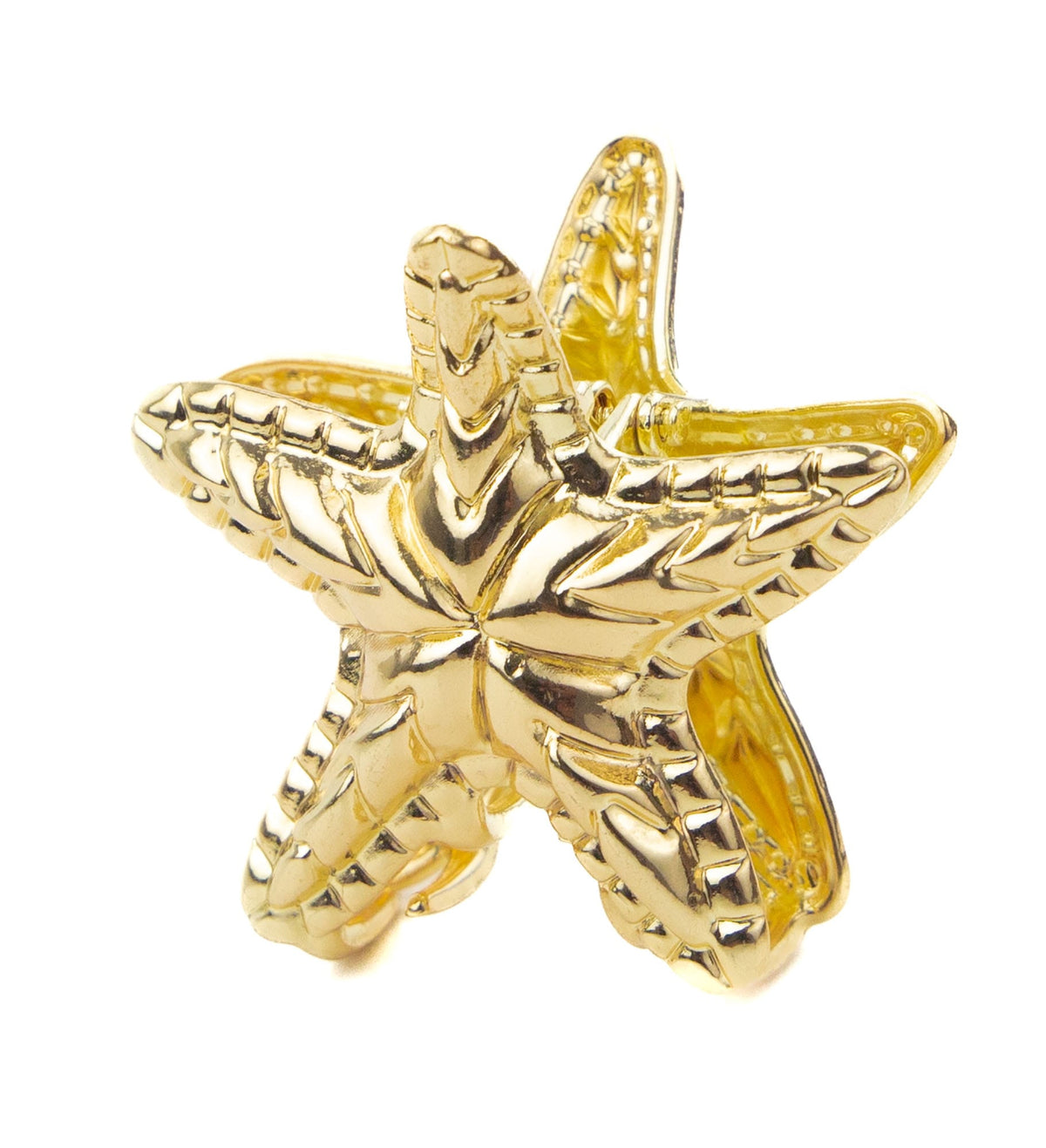 Pince étoile de mer