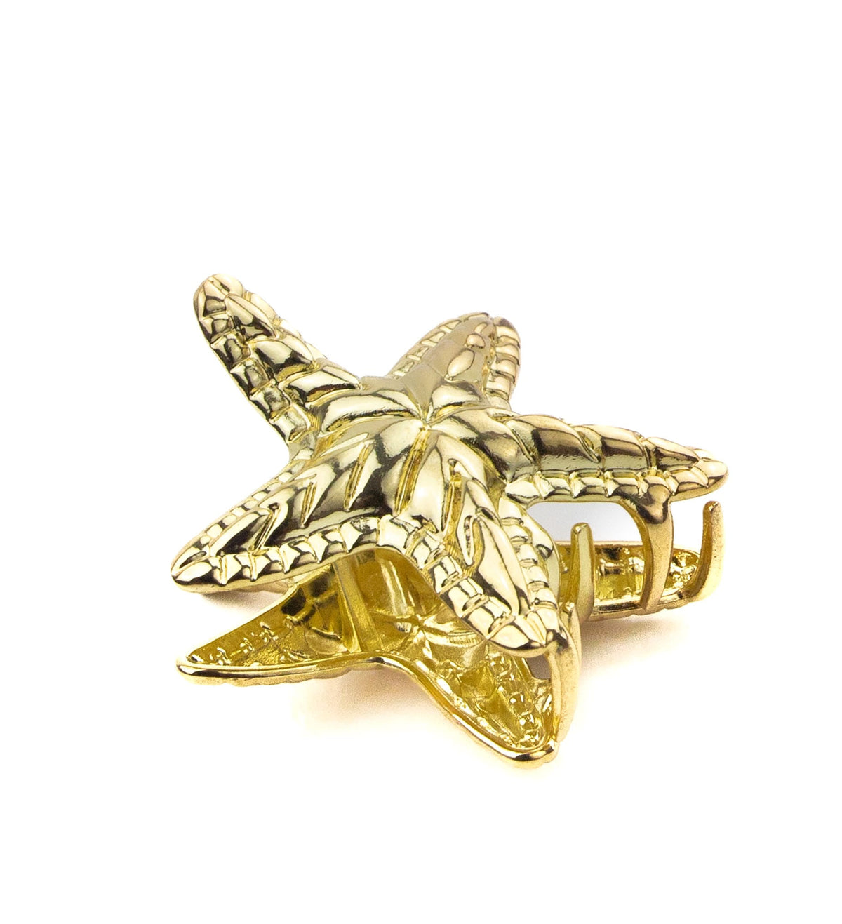 Pince étoile de mer