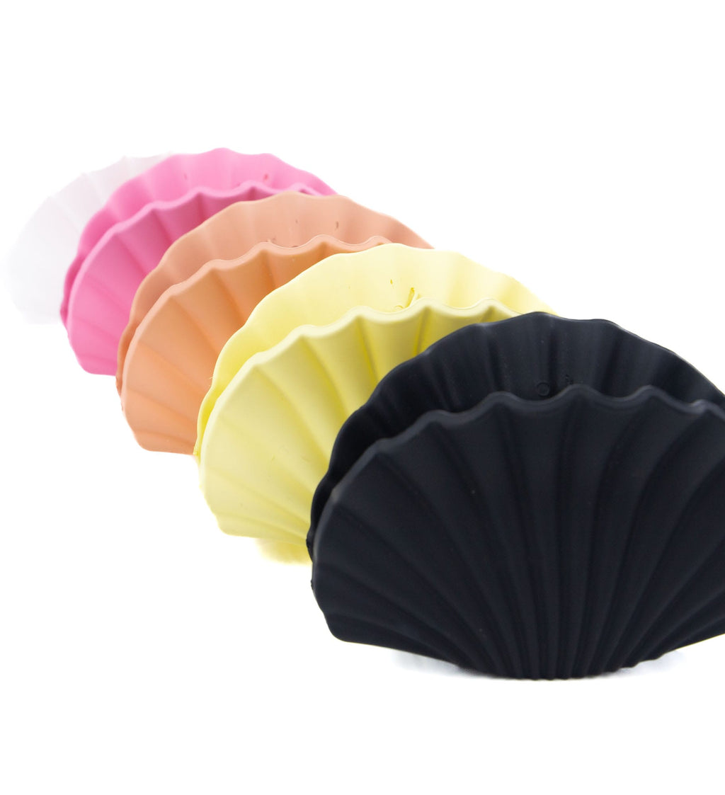 Pinces coquillage colorées