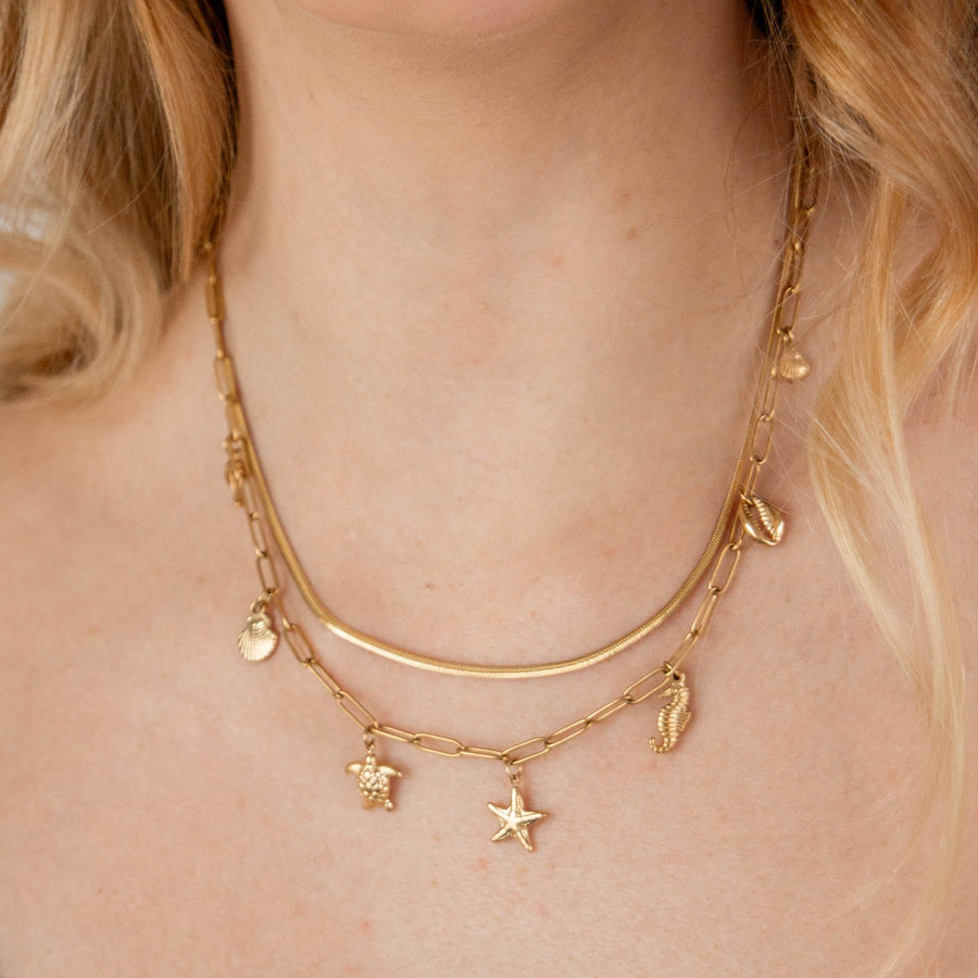 Collier chaîne Corail - Bébou la Coquette